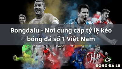 Bật mí tips nhận định tại bongdalu - bongdalu-vip.com